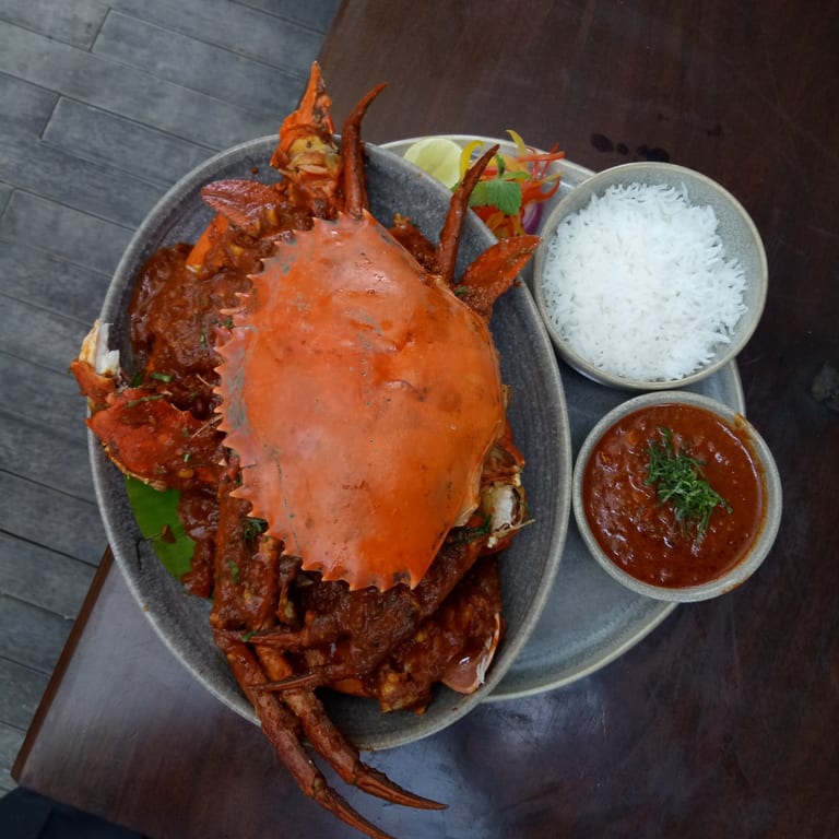 Savor Our Crab Creations